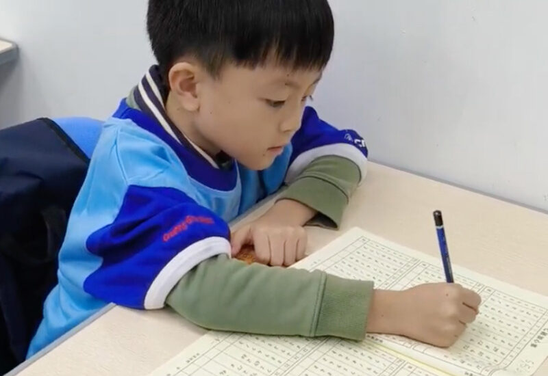 The Brain's Learning Window: How Ages 3 to 12 Shape Your Child's Attention for Life